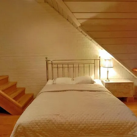 Sleeps 12 Wifi Σπίτι διακοπών Szary Dwor